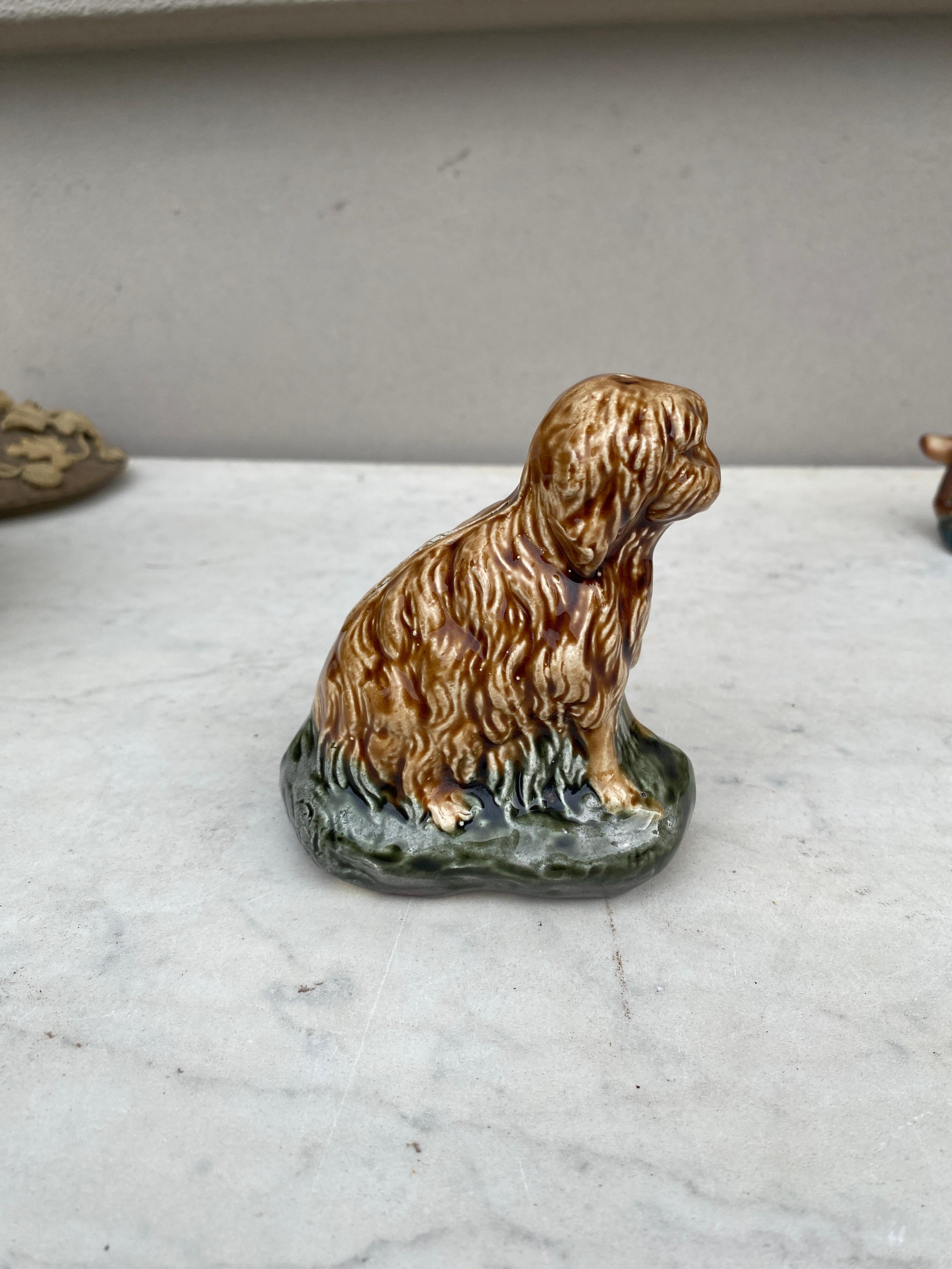 Country French Majolica Money or Coin Bank Dog Circa 1900 For Sale