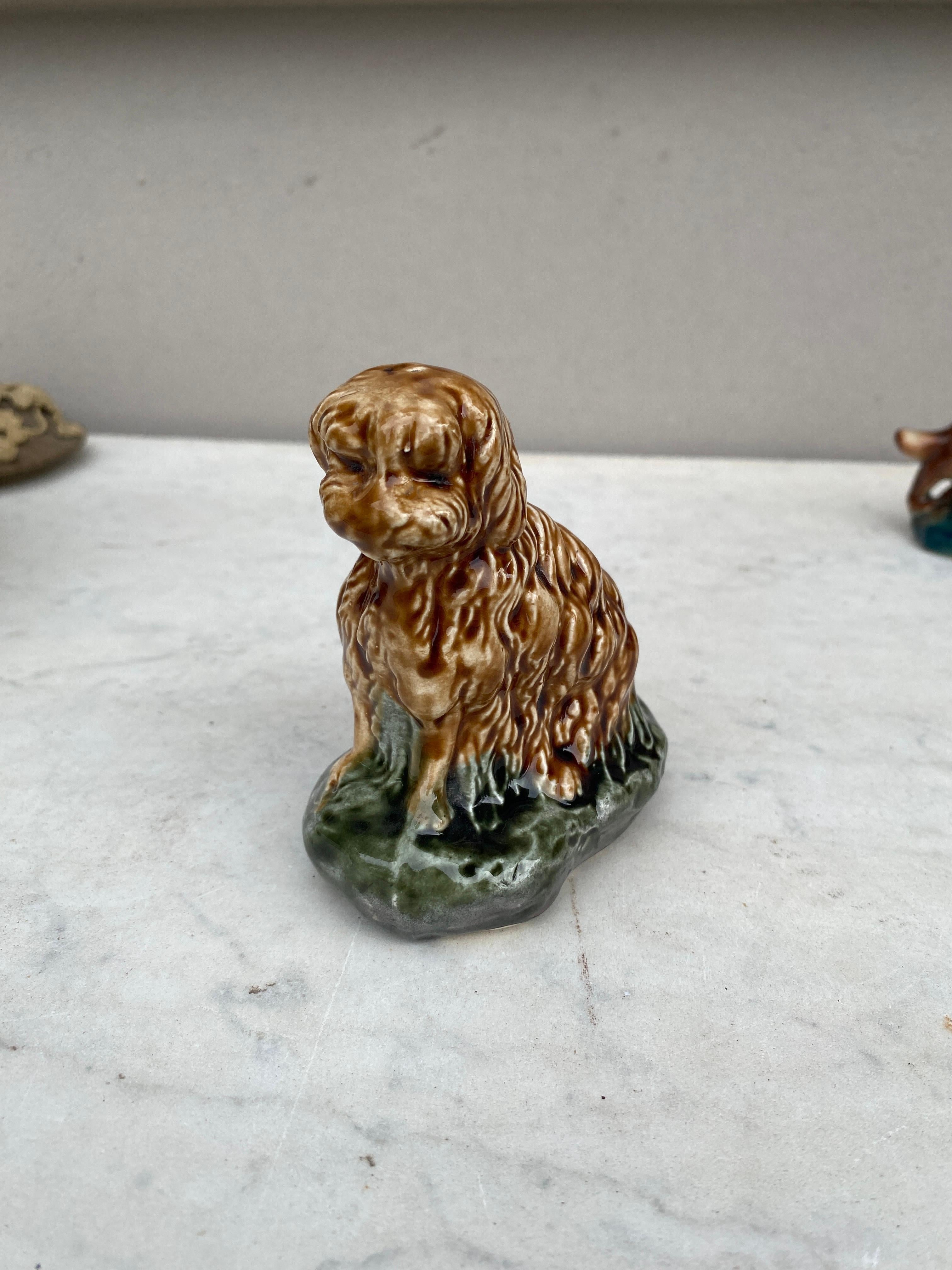 French Majolica Money or Coin Bank Dog Circa 1900 In Good Condition For Sale In Austin, TX