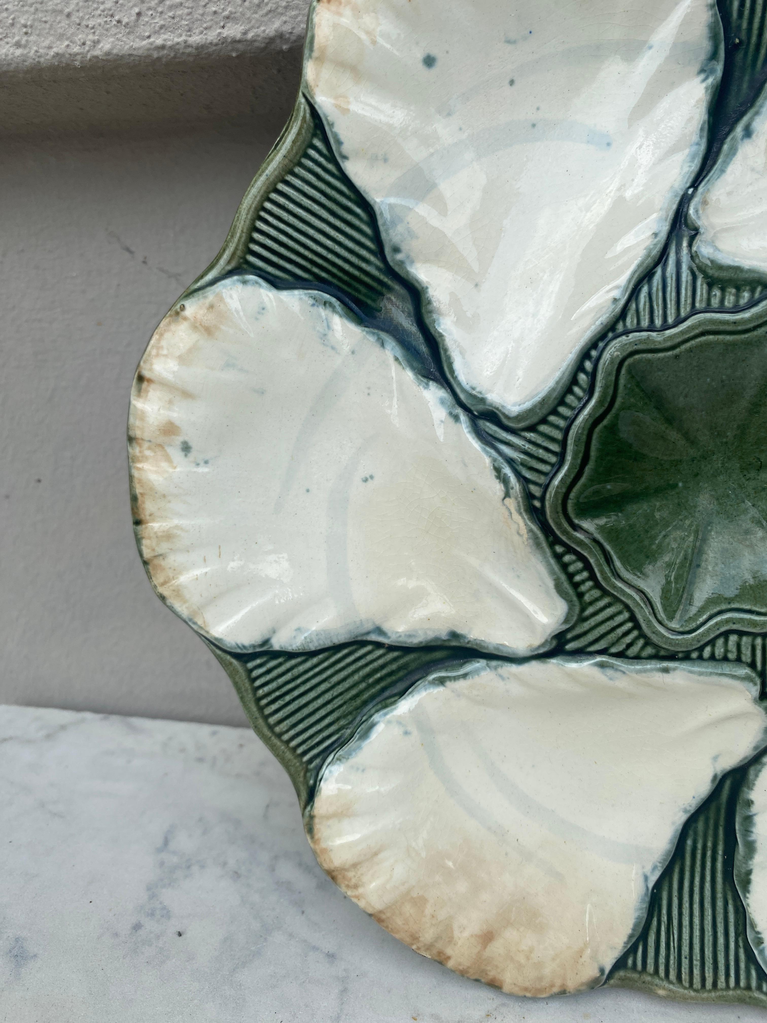 French Majolica oyster plate signed Longchamp, circa 1900.
