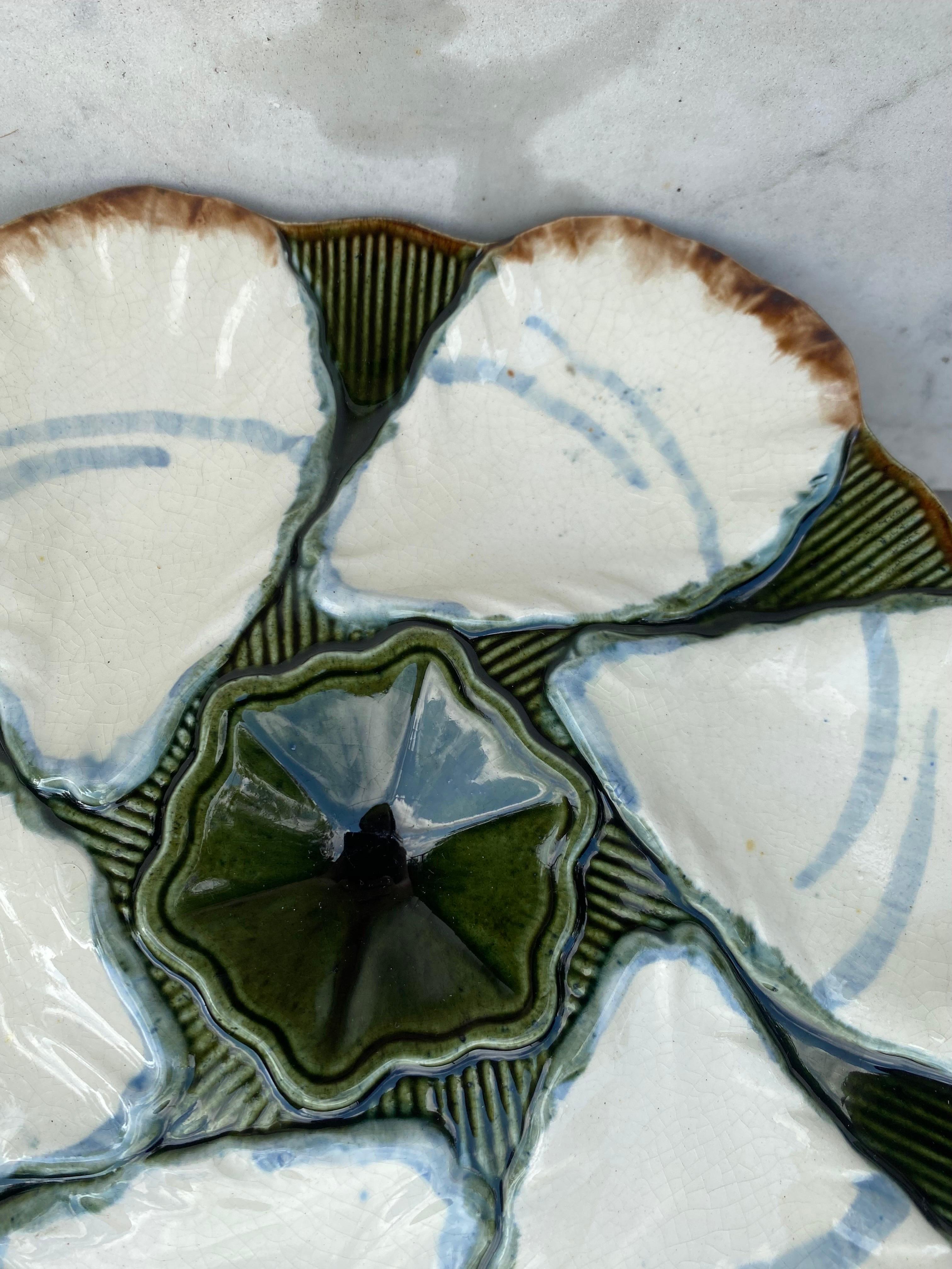 French Majolica Oyster Plate Longchamp, circa 1900 In Good Condition In Austin, TX