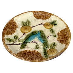 Piatto in maiolica francese per parrocchetti Salins, 1890 circa
