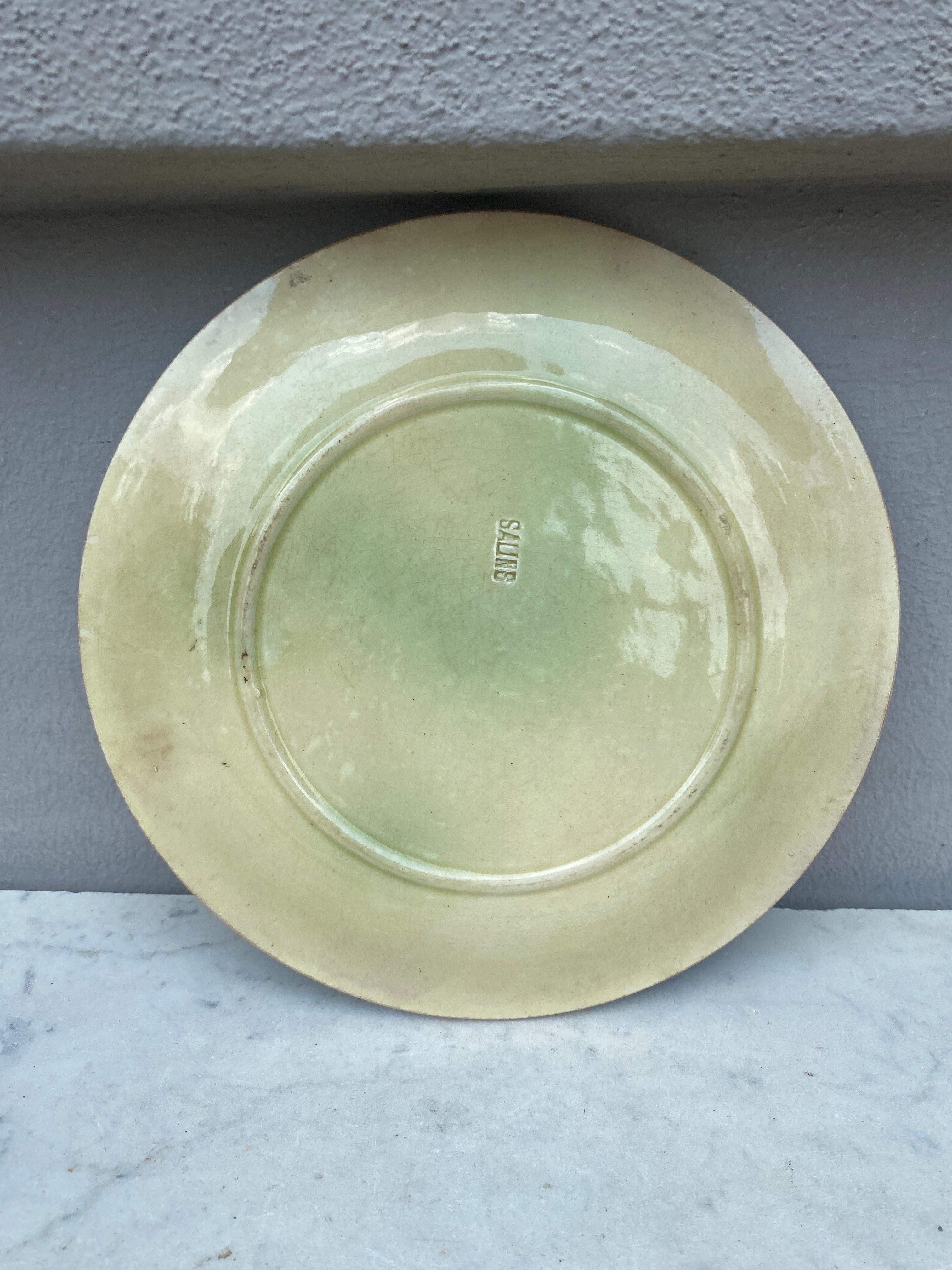 Art Nouveau French Majolica Parakeets Plate Salins, circa 1890 For Sale