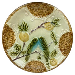 French Majolica Parakeets Plate Salins, circa 1890