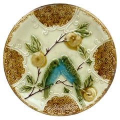 French Majolica Parakeets Plate Salins, circa 1890