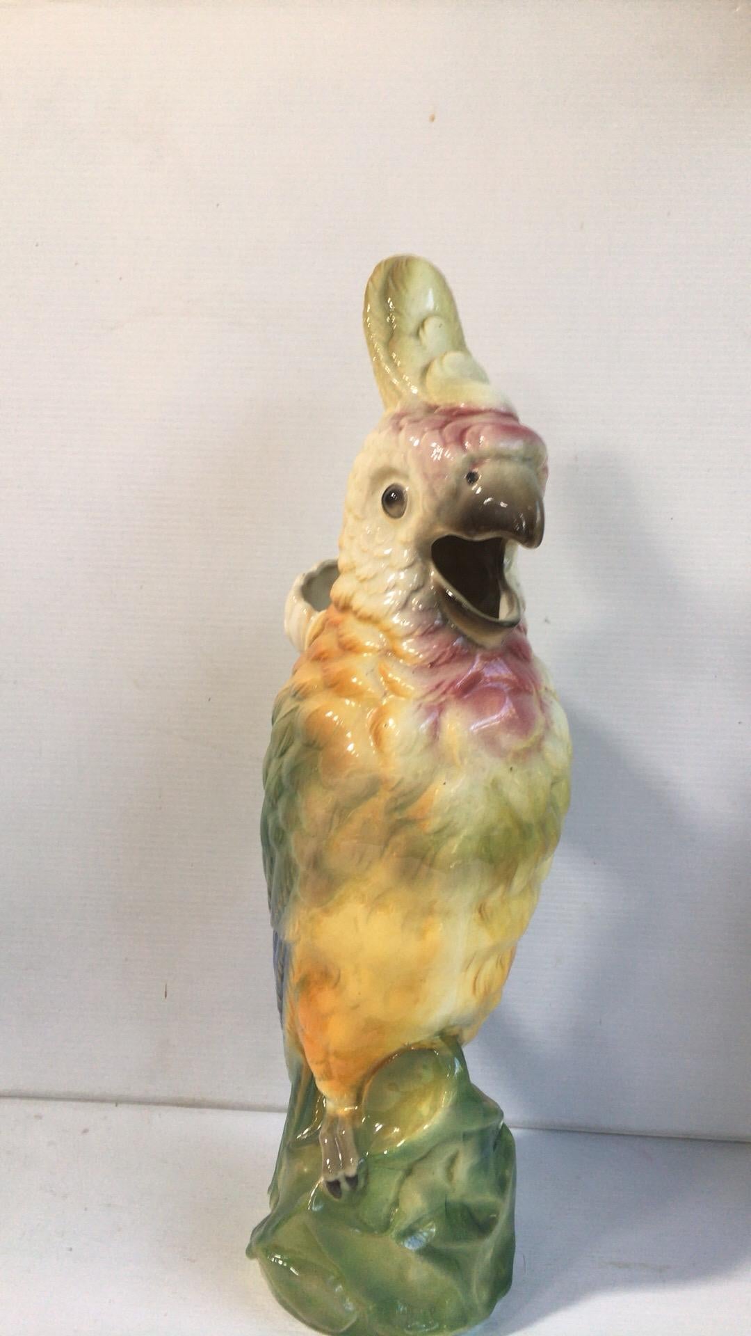 clement parrot