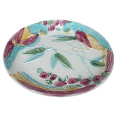 French Majolica Parrots Plate Salins, circa 1890