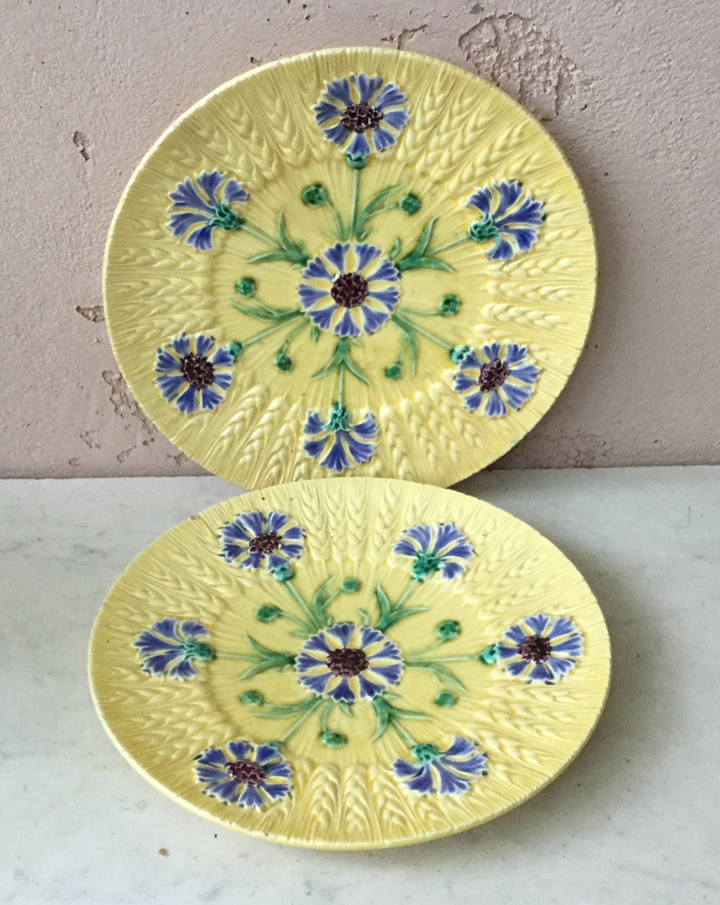 Ceramic French Majolica Pear Plate Luneville, circa 1880 For Sale