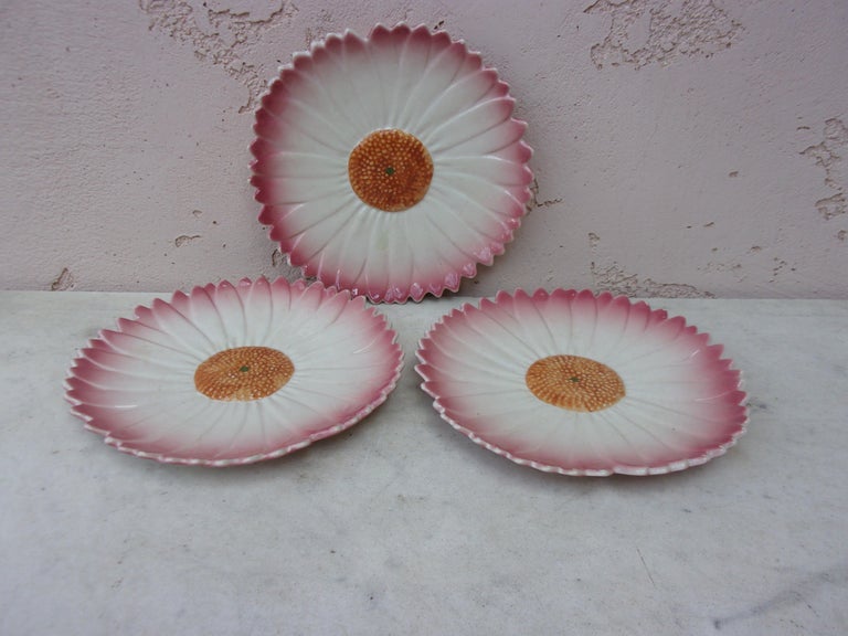 French Majolica pink daisy plate Massier style, circa 1950.