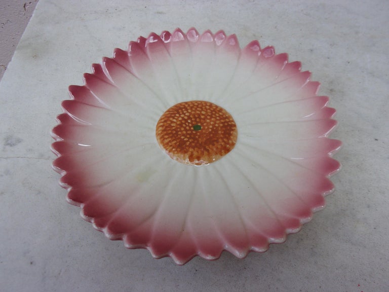 French Majolica Pink Daisy Plate, circa 1950 For Sale 1