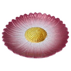 French Majolica Pink Daisy Plate Jerome Massier Fils Circa 1900