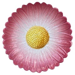 French Majolica Pink Daisy Plate Jerome Massier Fils Circa 1900