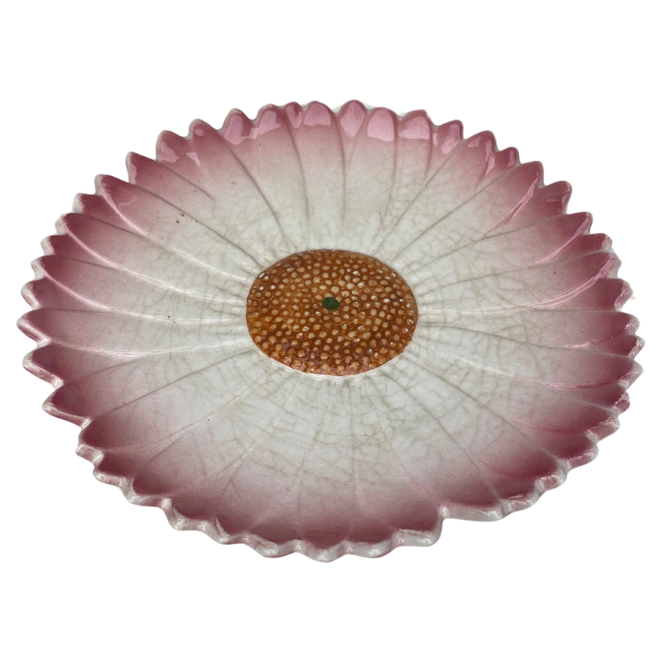 French Majolica pink daisy plate Massier style, circa 1950.