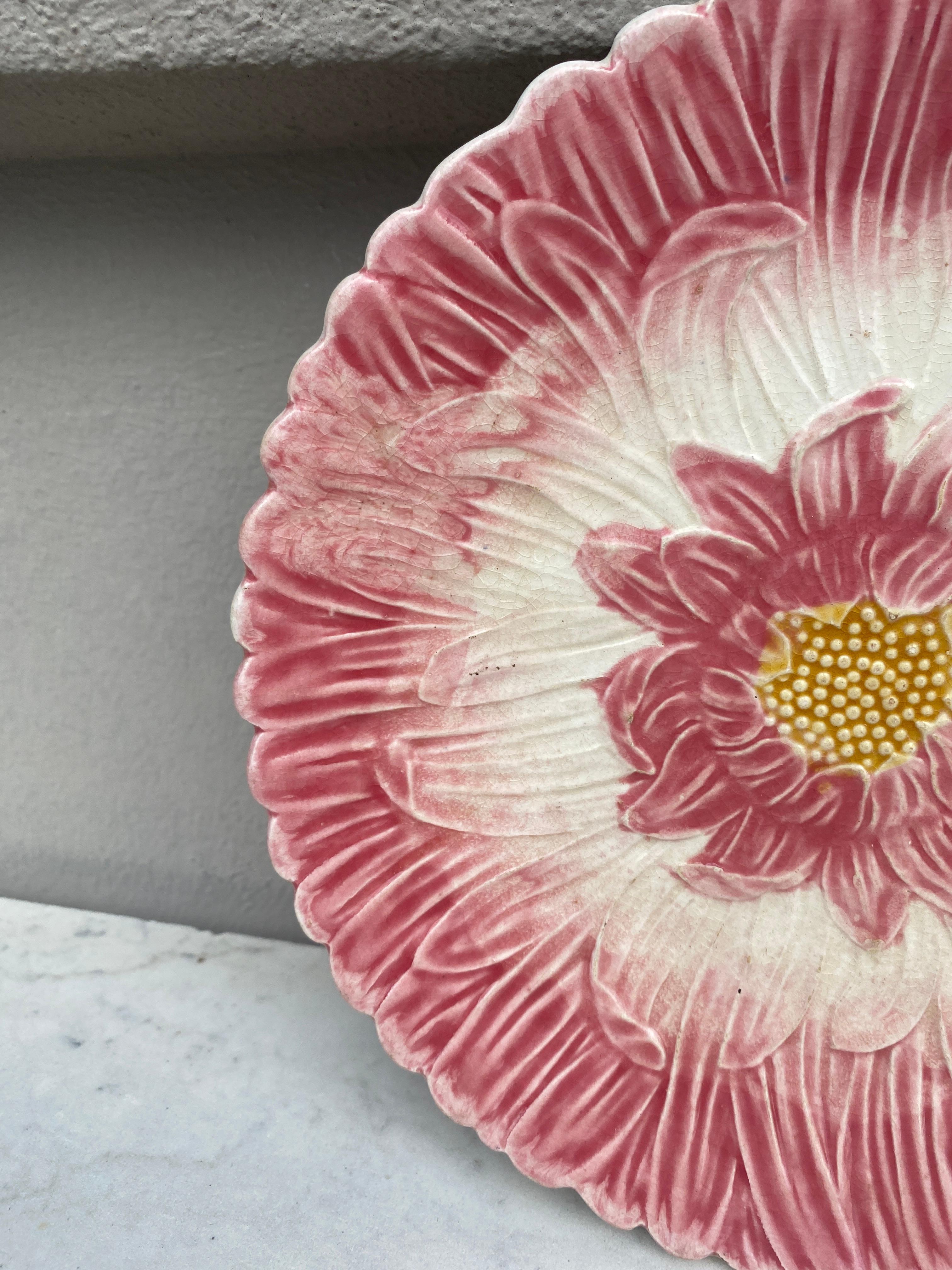 French Majolica pink daisy plate Orchies, circa 1890.