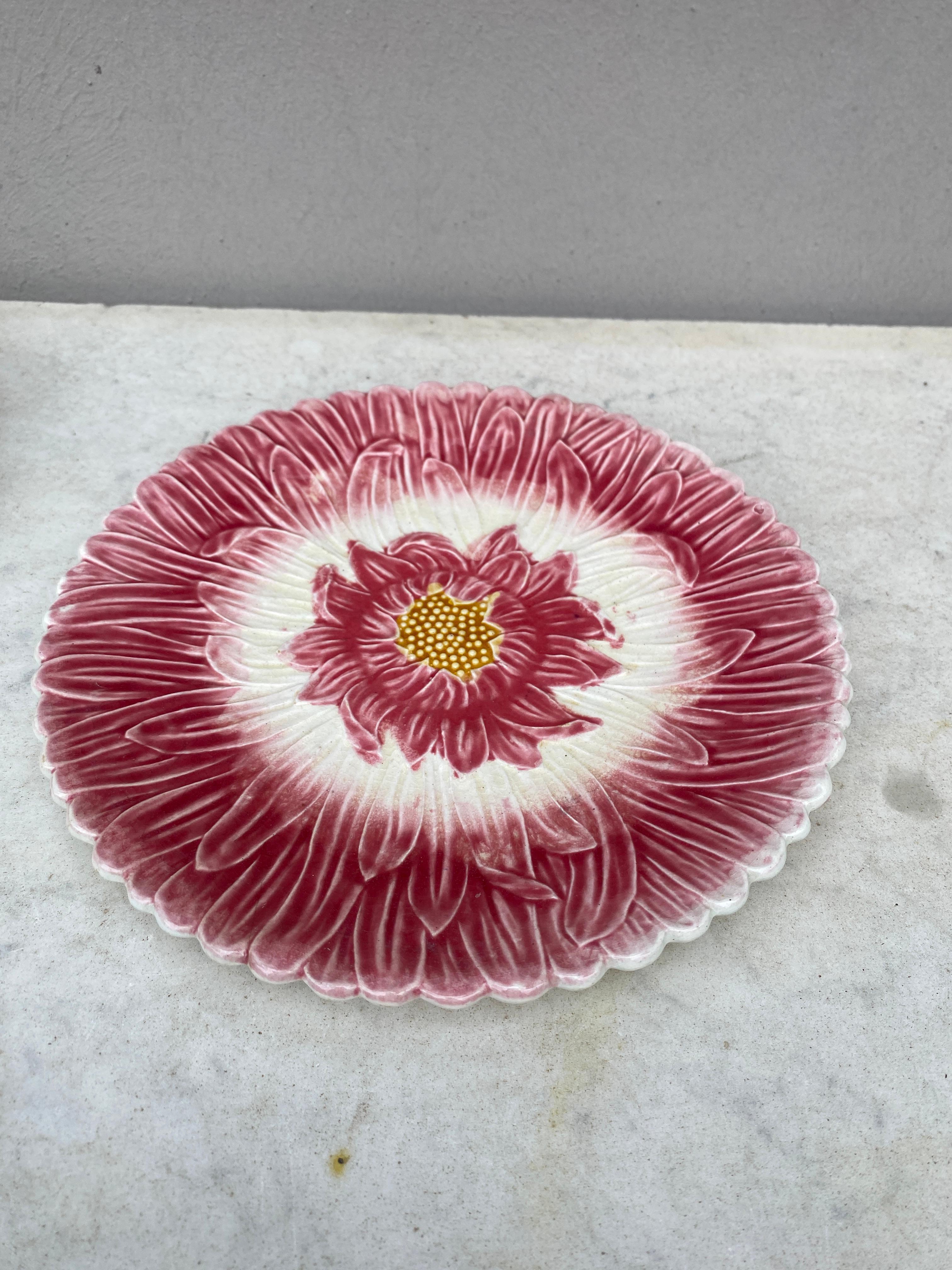 Art Nouveau French Majolica Pink Daisy Plate Orchies, circa 1890 For Sale