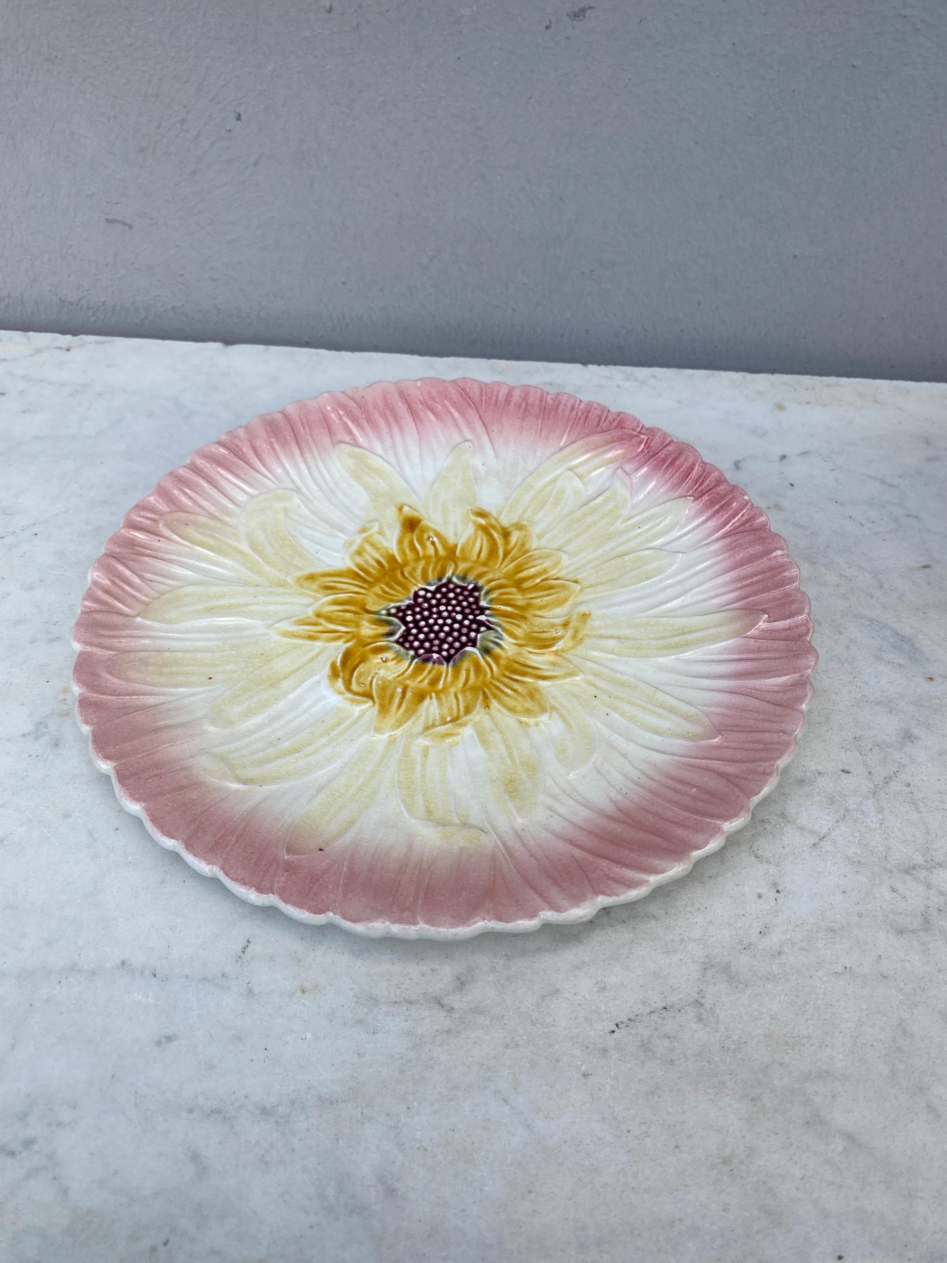 Art Nouveau French Majolica Pink Daisy Plate Orchies, circa 1890