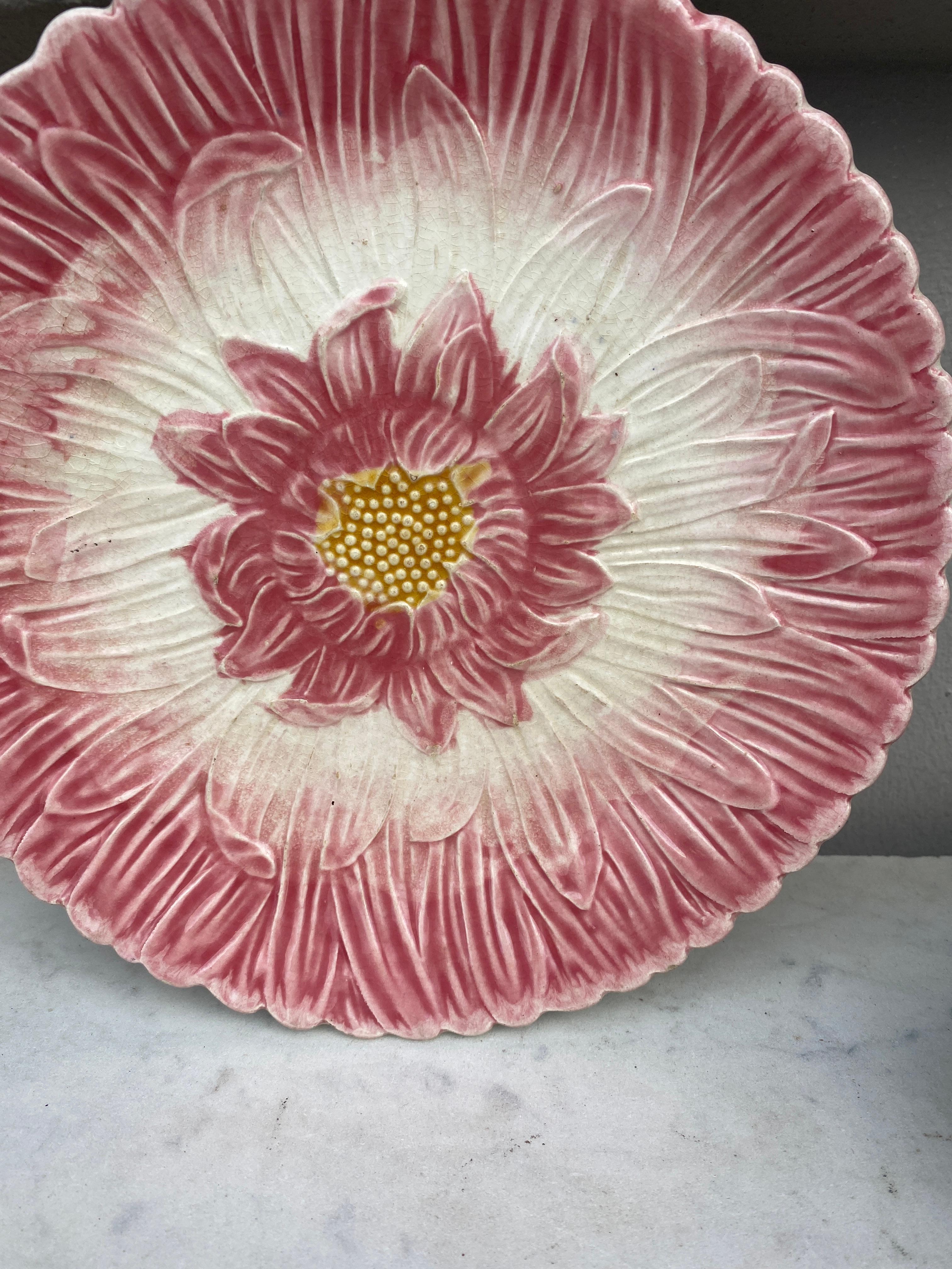 Art Nouveau French Majolica Pink Daisy Plate Orchies, circa 1890 For Sale