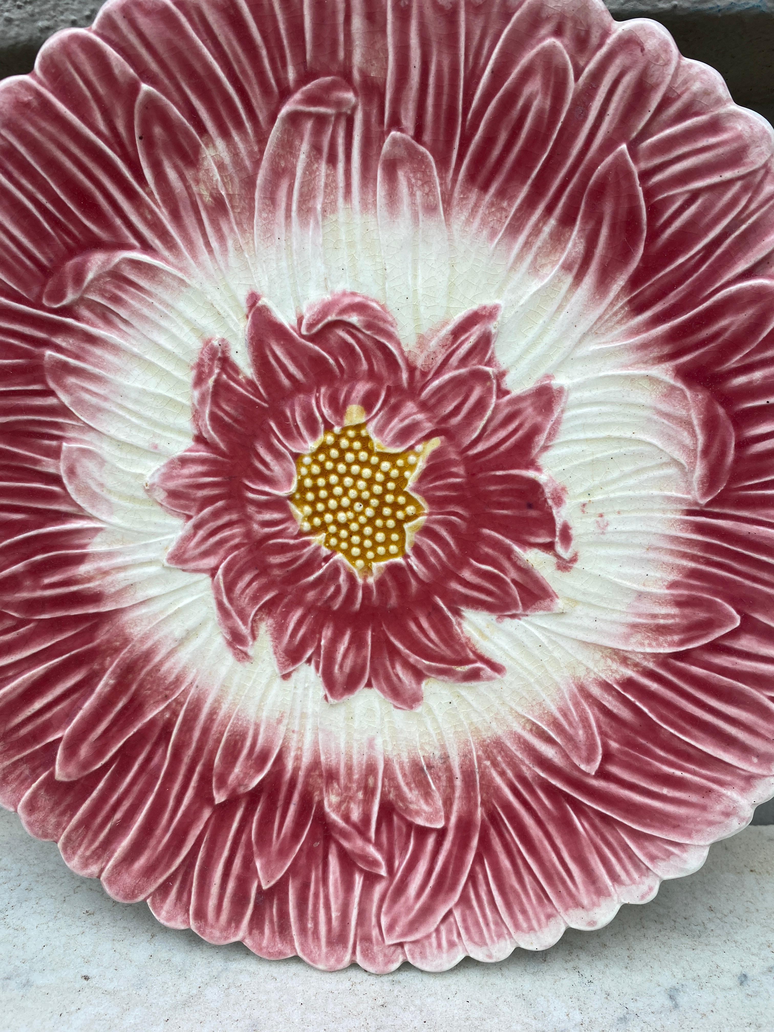 French Majolica Pink Daisy Plate Orchies, circa 1890 In Good Condition For Sale In Austin, TX