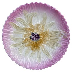 Französisch Majolika Rosa Gänseblümchen Teller Orchies, um 1890