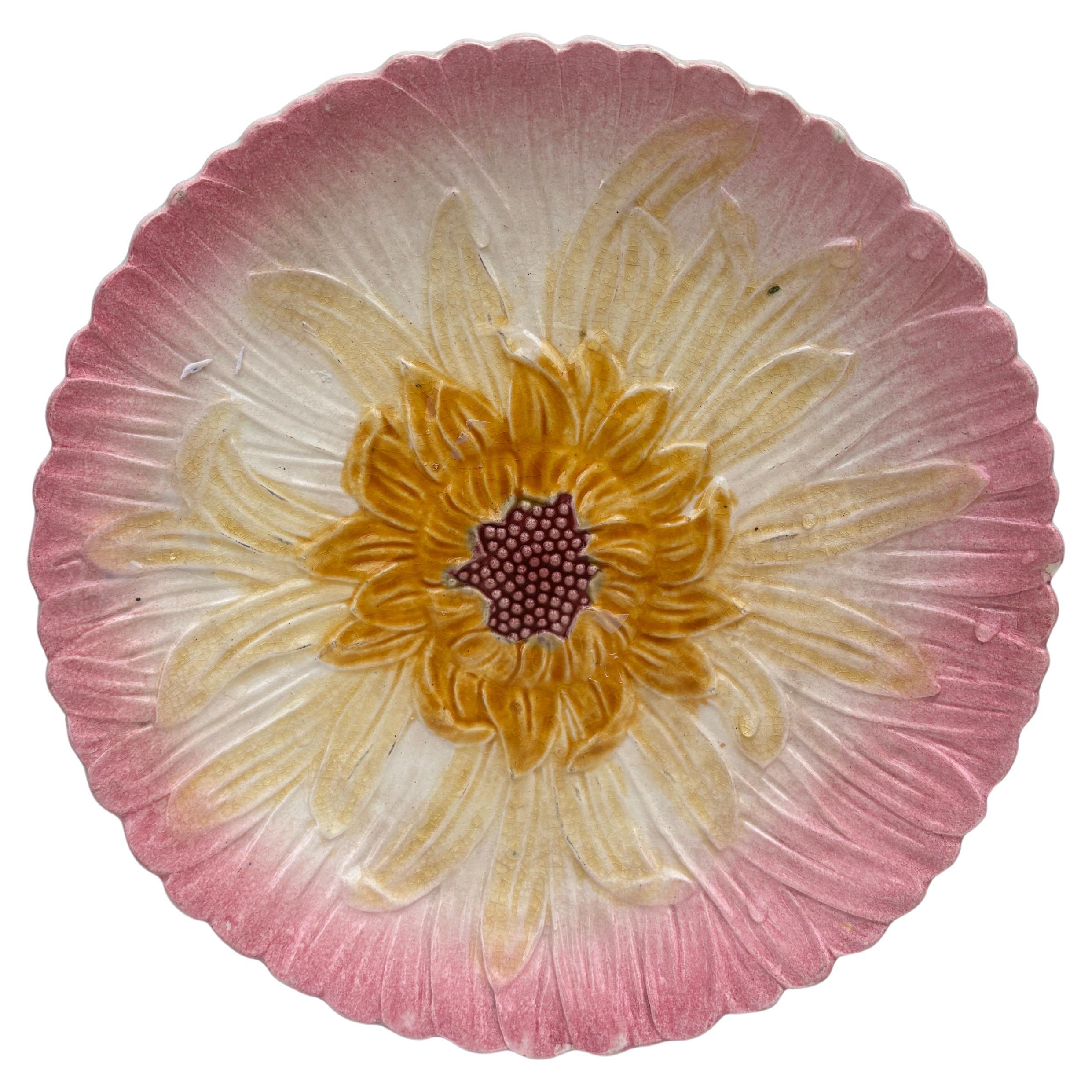 Französisch Majolika Rosa Gänseblümchen Teller Orchies, um 1890