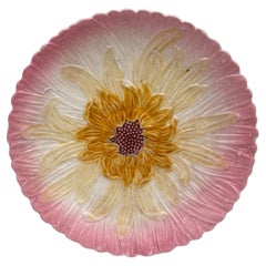 French Majolica Pink Daisy Plate Orchies, circa 1890