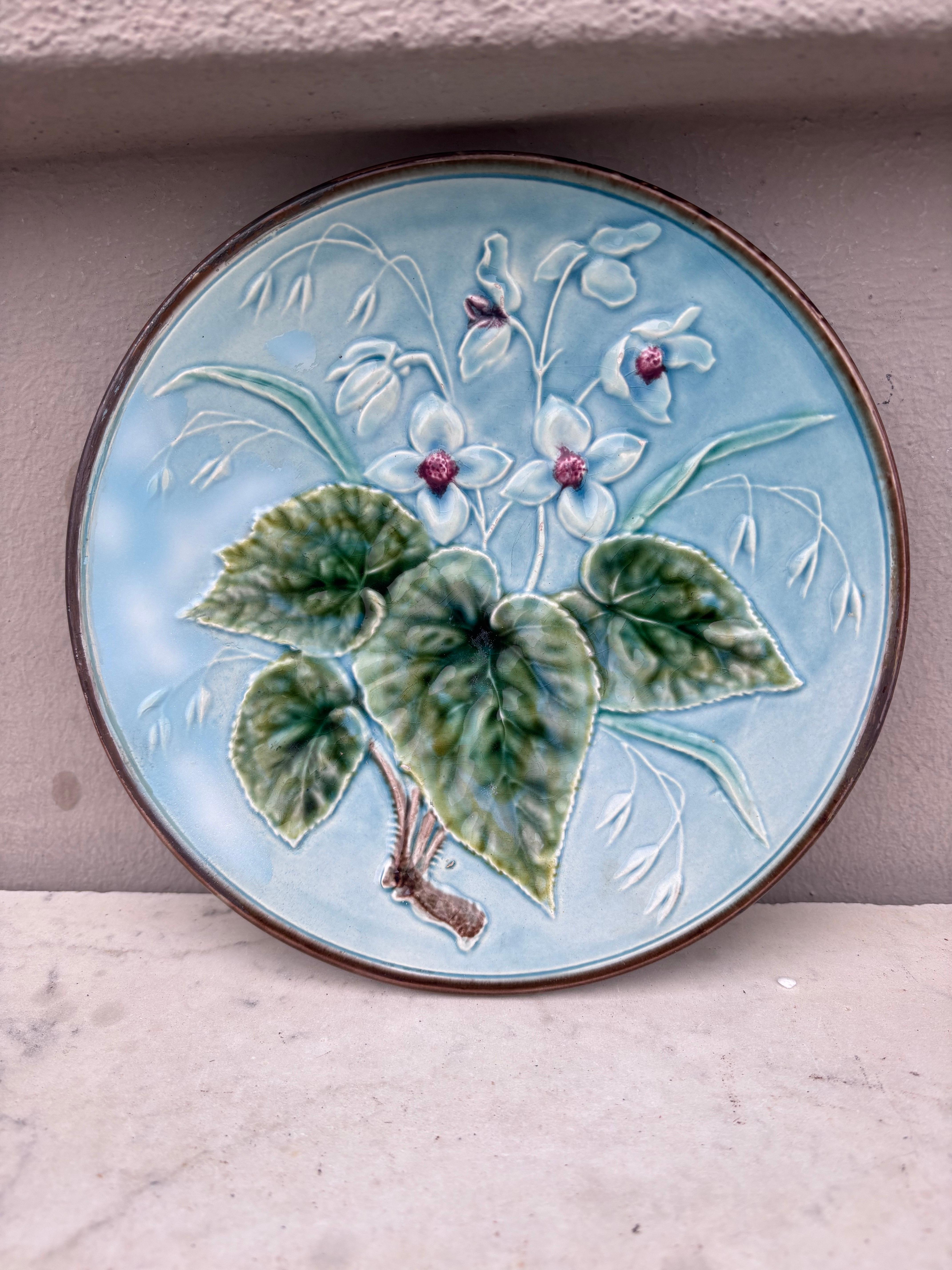 Piatto in maiolica francese Fruits Salins, 1890 circa In condizioni buone in vendita a Austin, TX