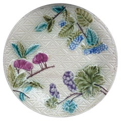 French Majolica Plate Fruits Salins, circa 1890