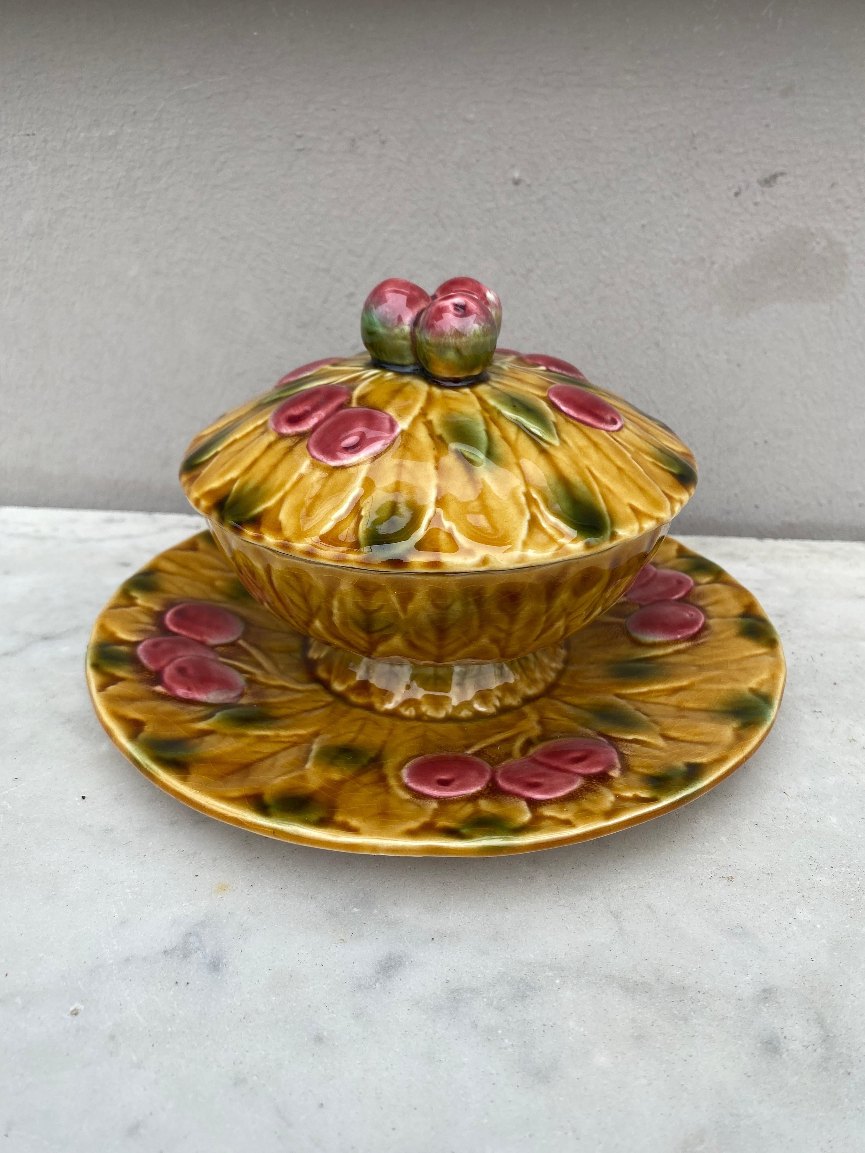 Early 20th Century French Majolica Plate with Flowers & Butterfly, circa 1900 For Sale