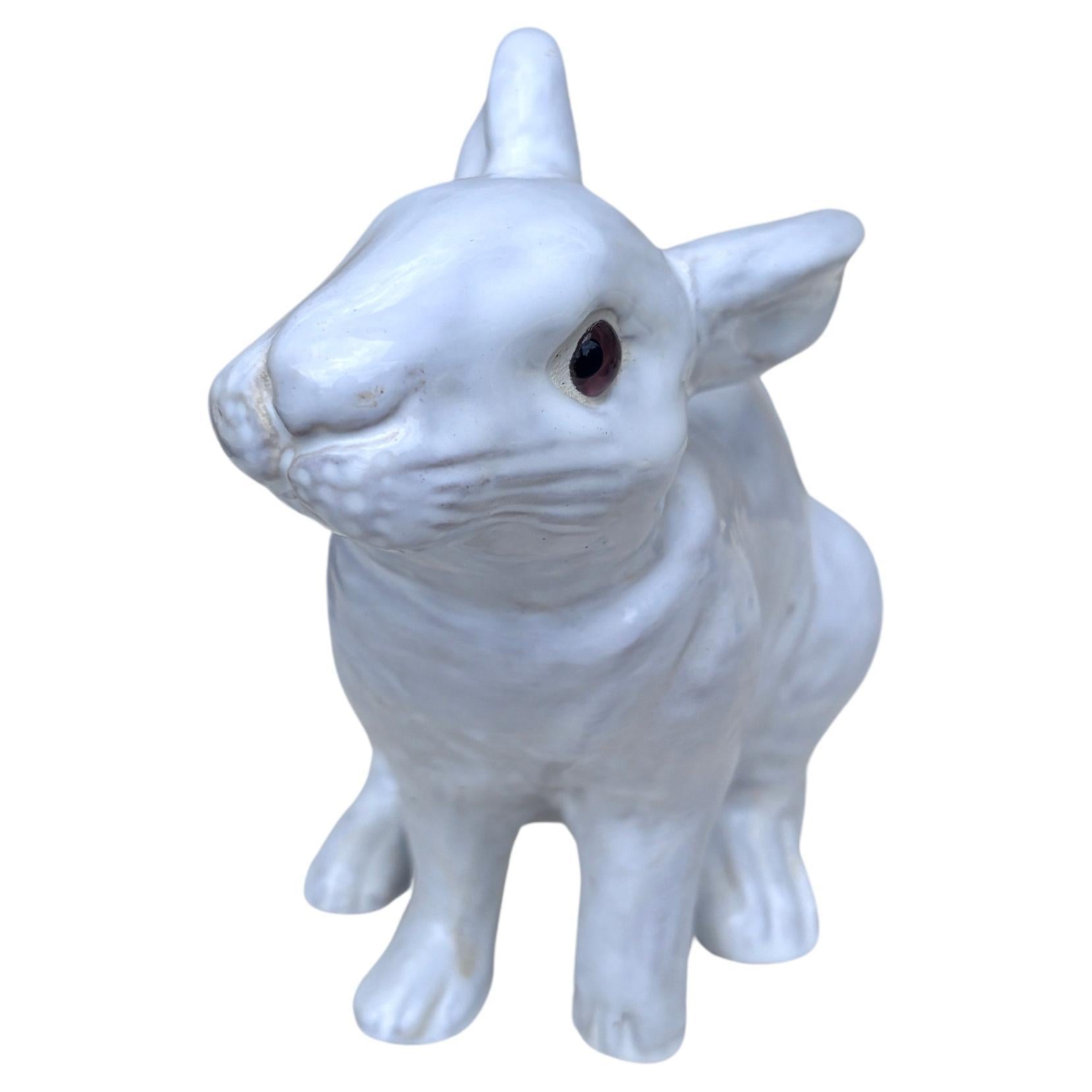 Rustic French Majolica Terracotta Rabbit Bavent Circa 1950 For Sale
