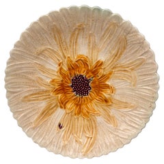 Französische Majolika Weißer Gänseblümchenteller Orchies, um 1890