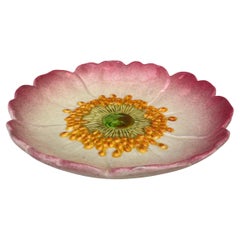 French Majolica Wild Rose Plate Delphin Massier Circa 1890