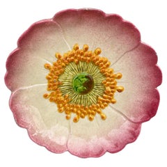 French Majolica Wild Rose Plate Delphin Massier Circa 1890