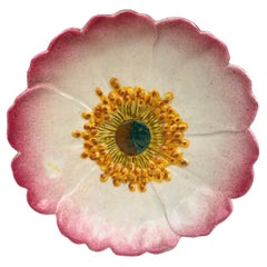 French Majolica Wild Rose Plate Delphin Massier Circa 1890