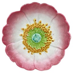 French Majolica Wild Rose Plate Jerome Massier Fils Circa 1900