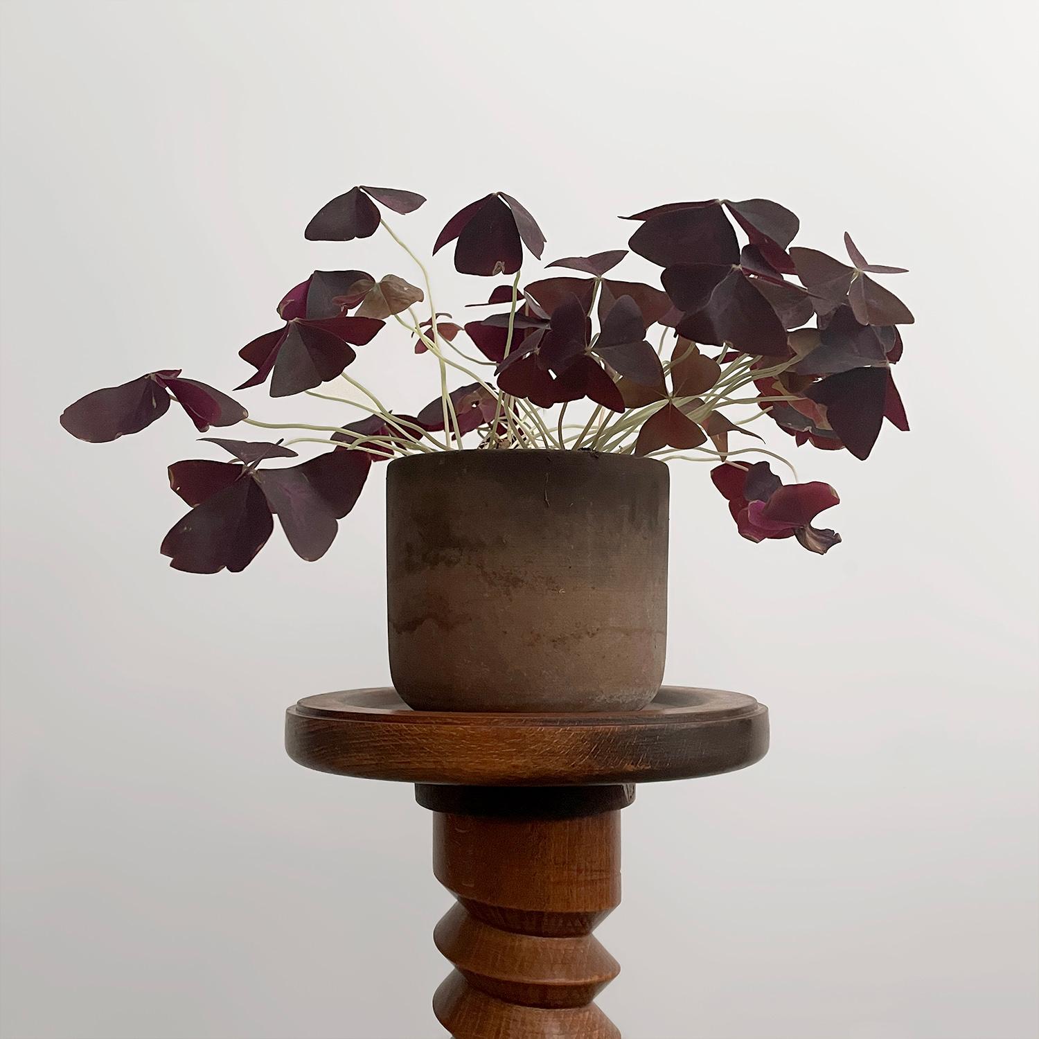 Turned French Maple Corkscrew Side Table in the style of Dudouyt