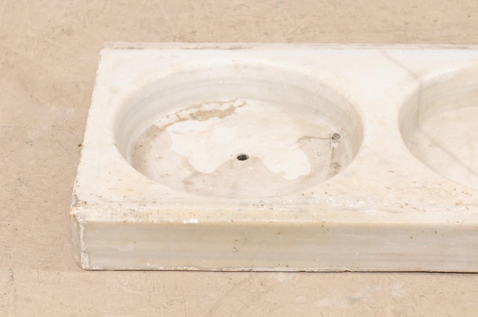French Marble 19th Century Rectangular Sink with Dual Basins 2
