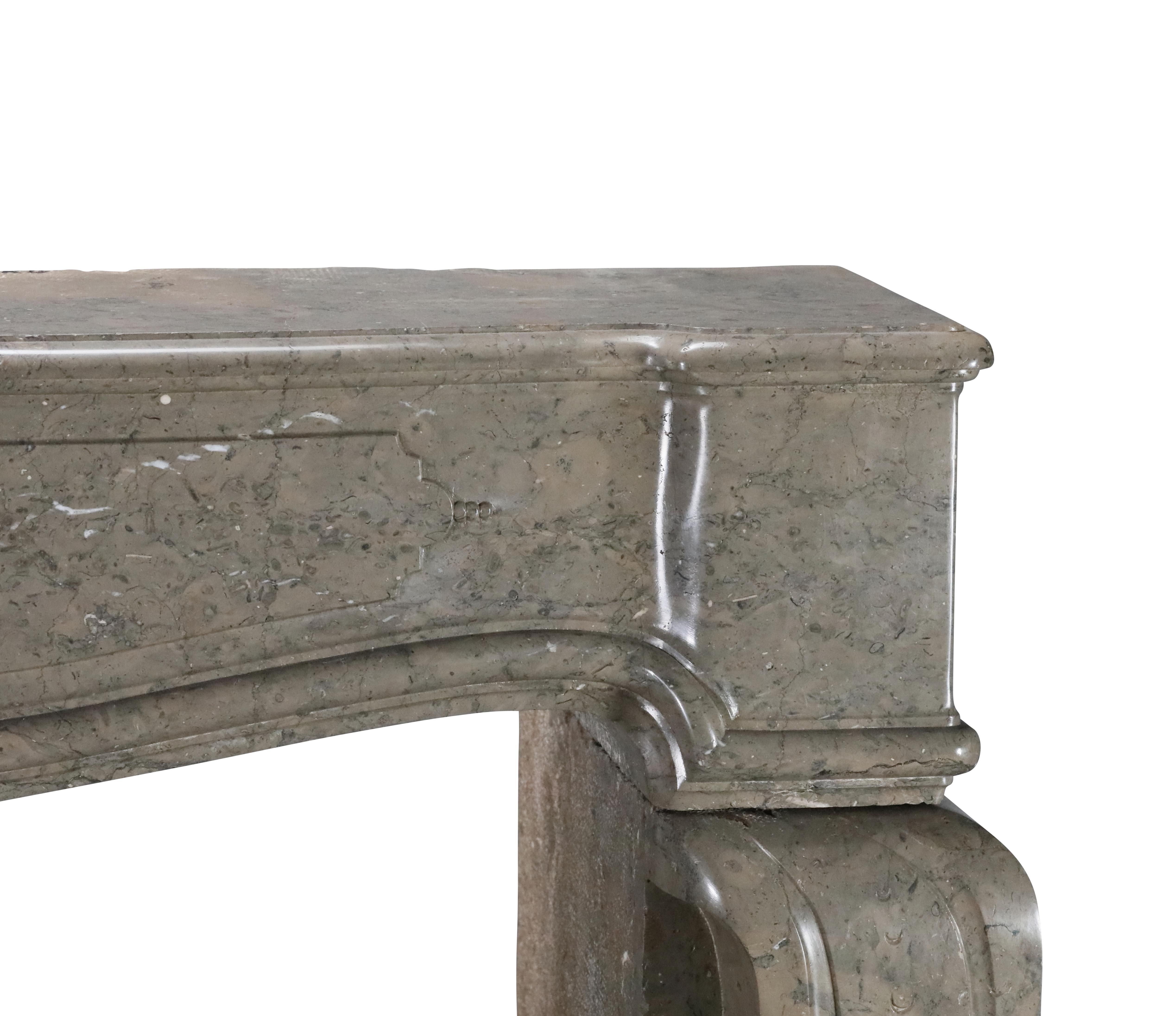 French Marble Fireplace From The Ardeche Region In Olive Green Multi Colour For Sale 4