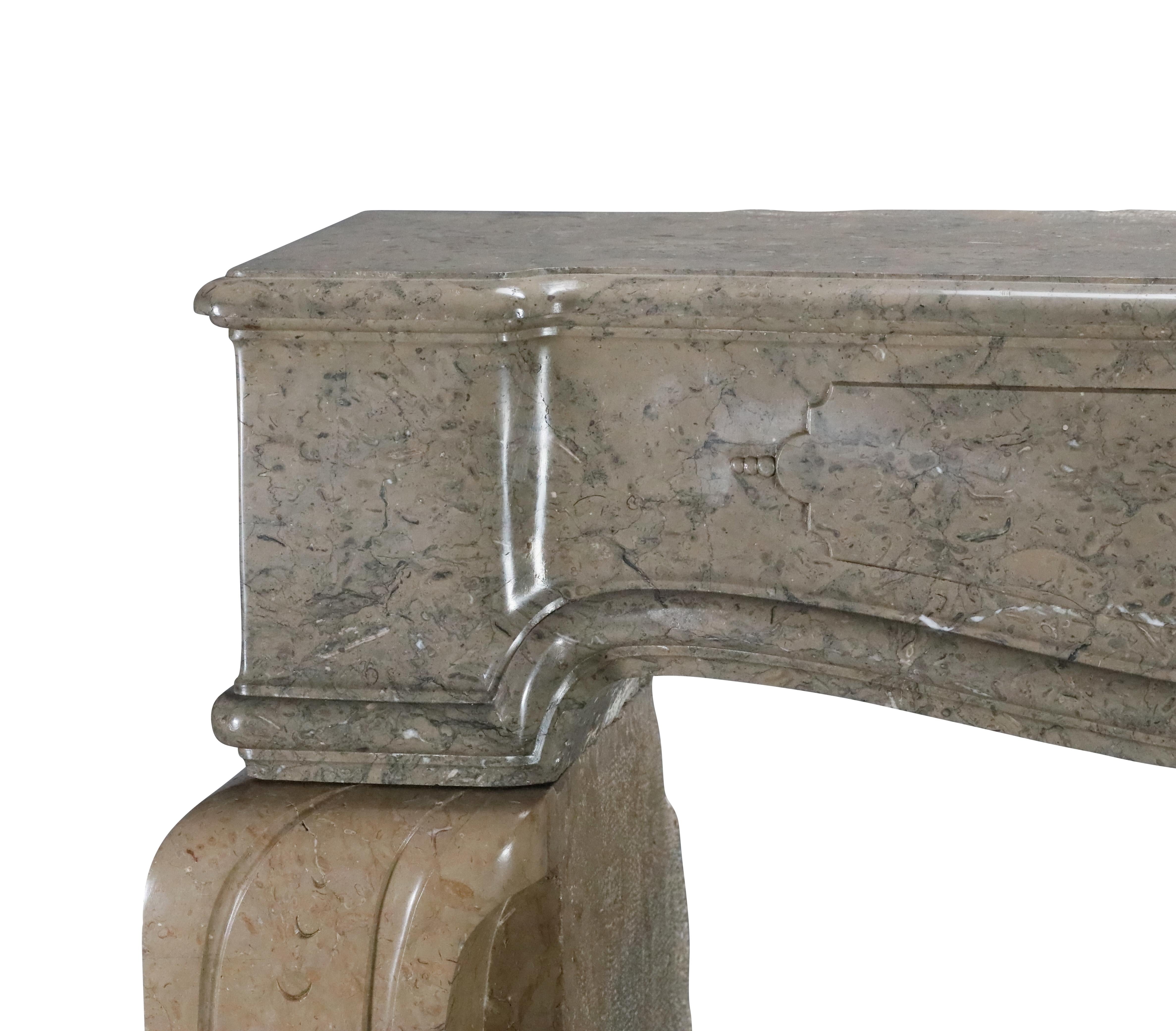 French Marble Fireplace From The Ardeche Region In Olive Green Multi Colour For Sale 5