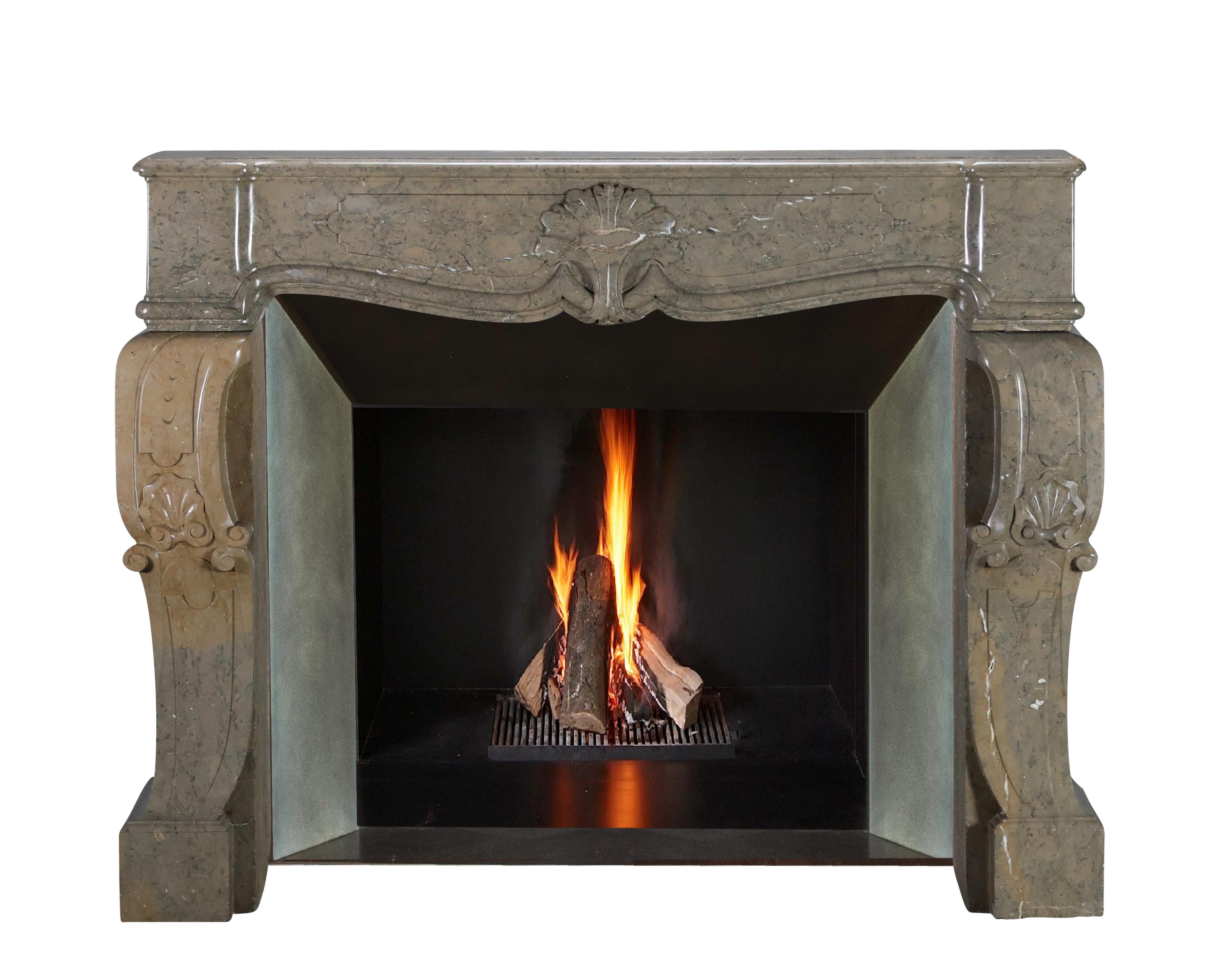 19th Century French Marble Fireplace From The Ardeche Region In Olive Green Multi Colour For Sale