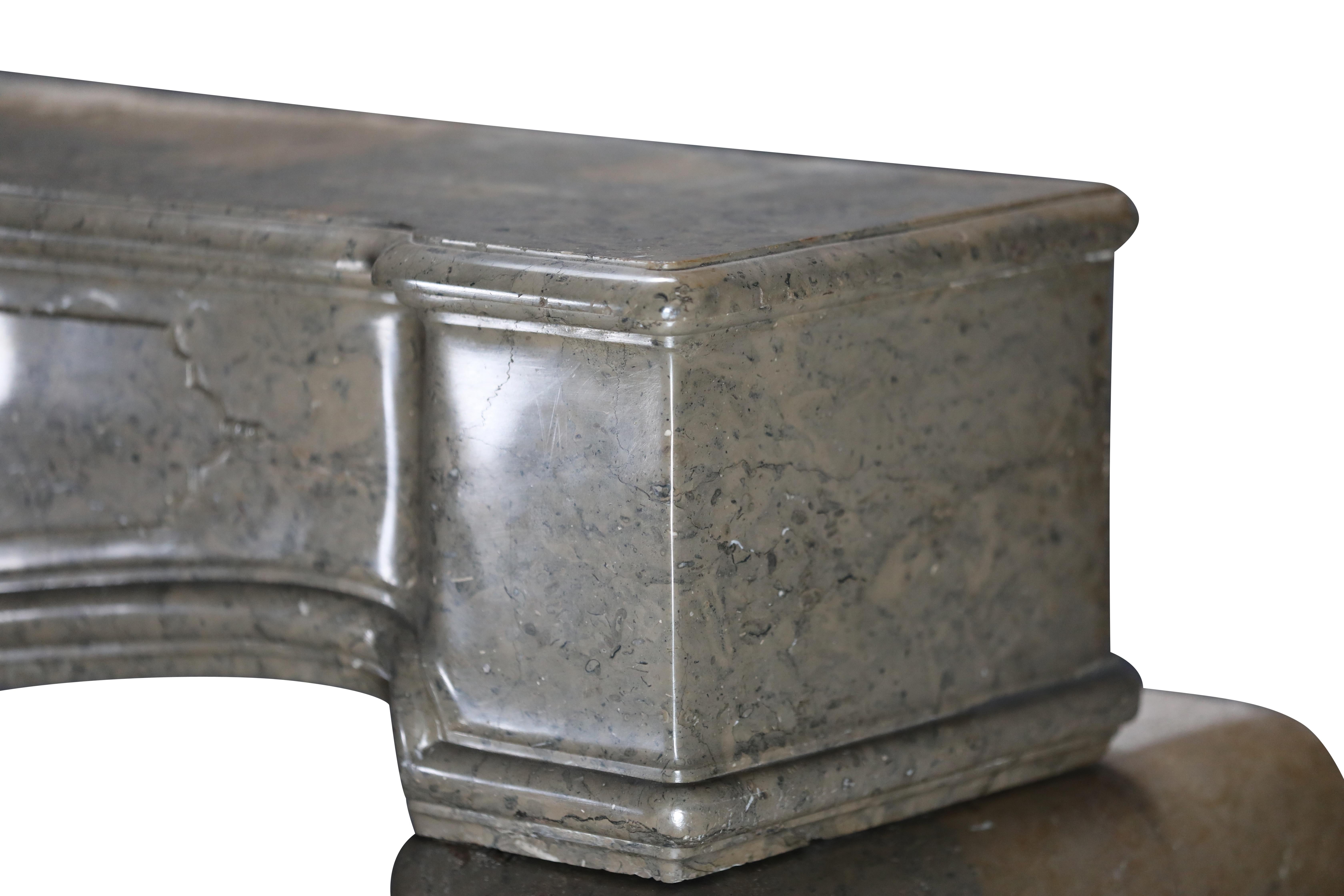 French Marble Fireplace From The Ardeche Region In Olive Green Multi Colour For Sale 3
