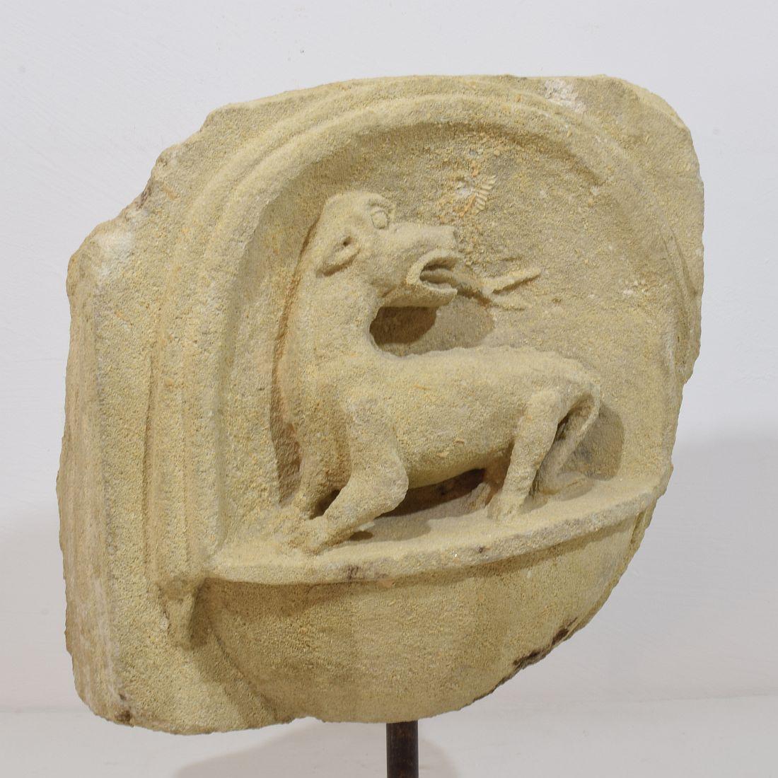 Französisches, mittelalterliches, geschnitztes Steinfragment, das einen Drachen/eine mythische Figur darstellt im Angebot 3