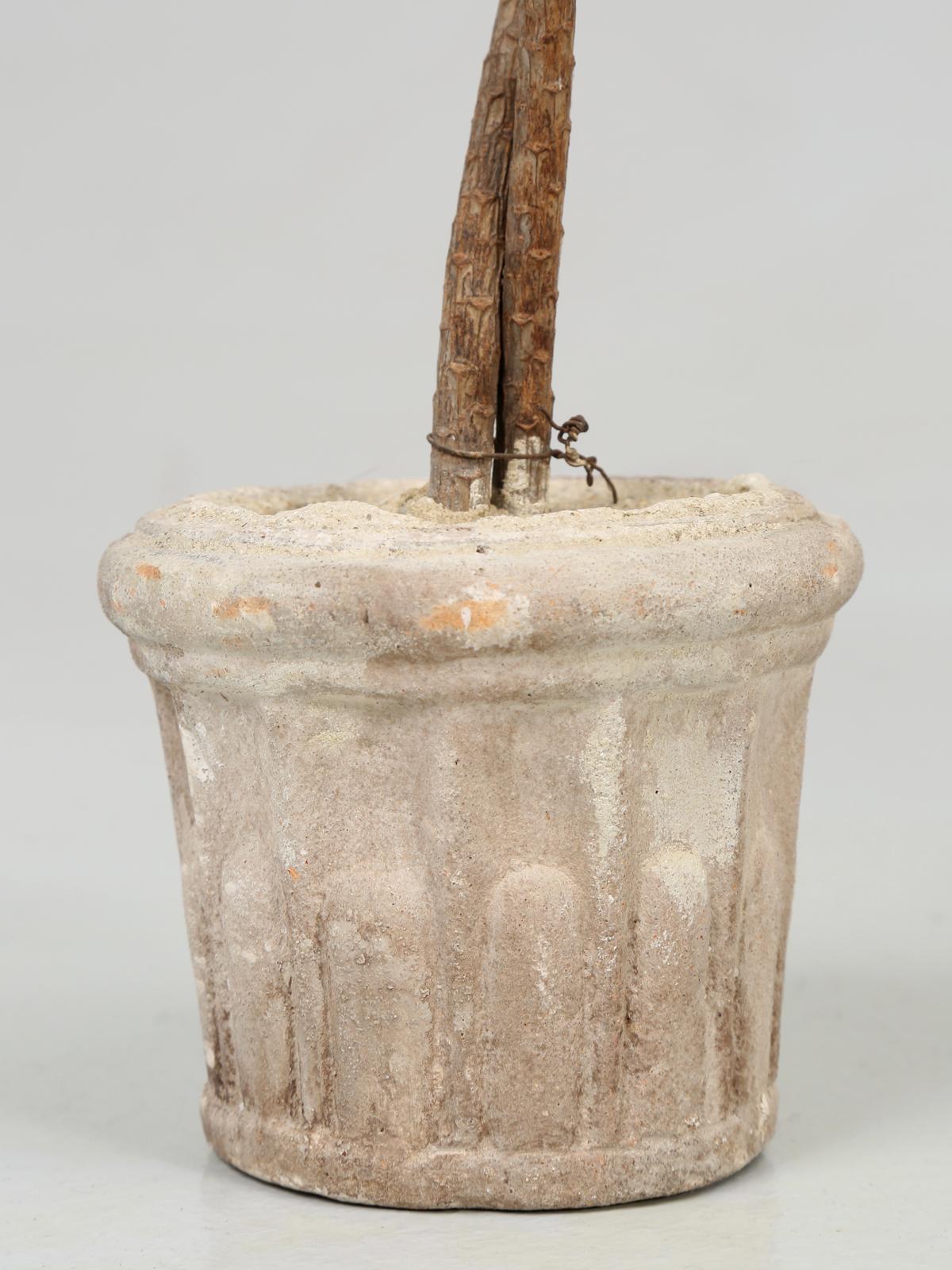 French Metal Palm Trees in Clay Pots 4