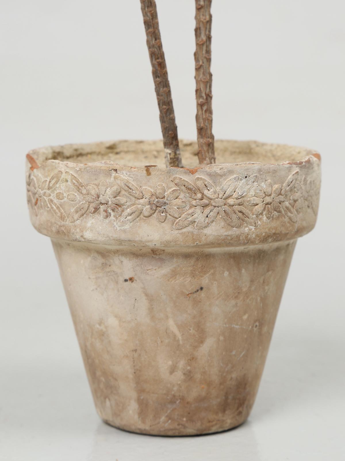 French Metal Palm Trees in Clay Pots 9