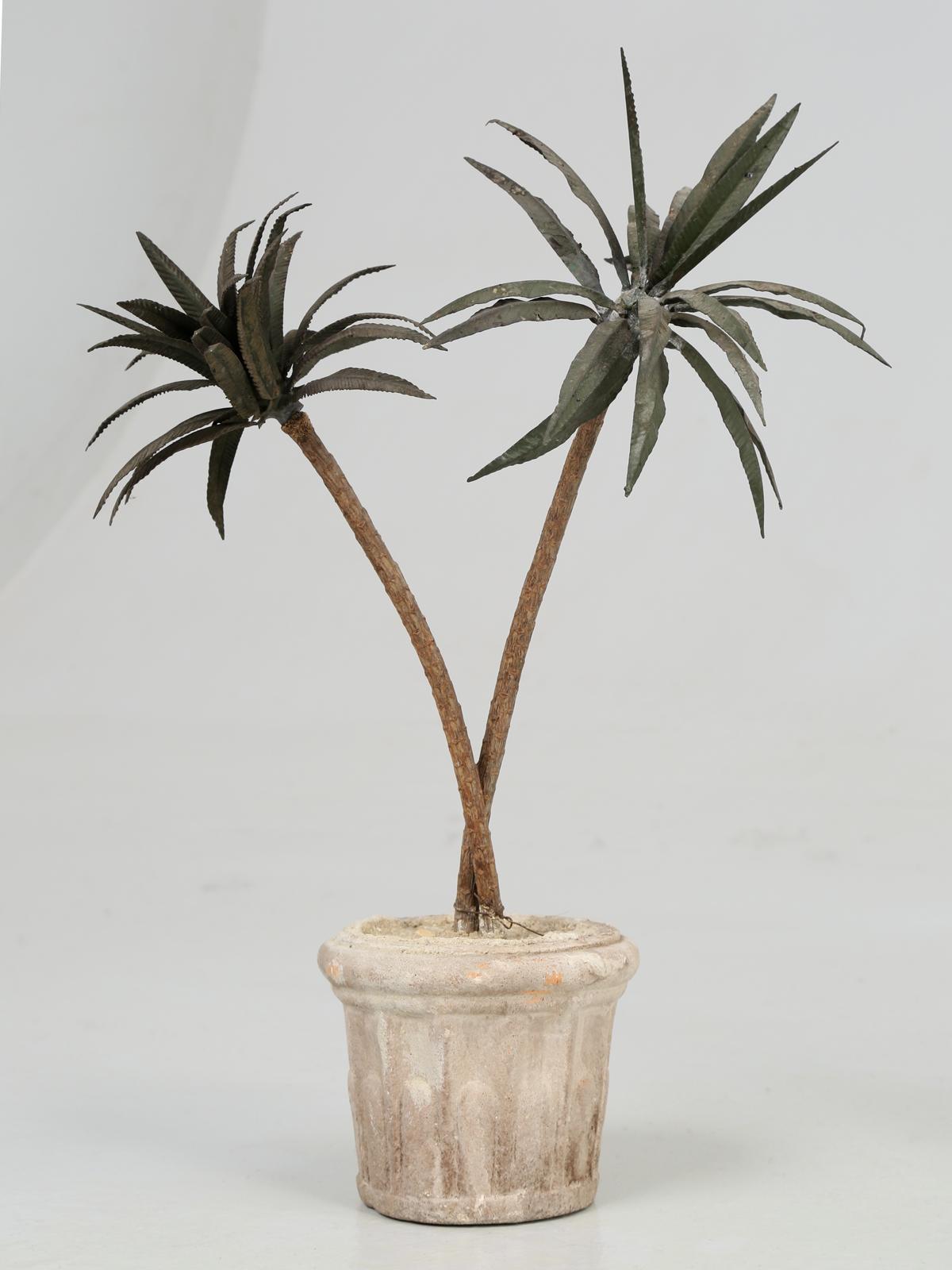 clay palm trees