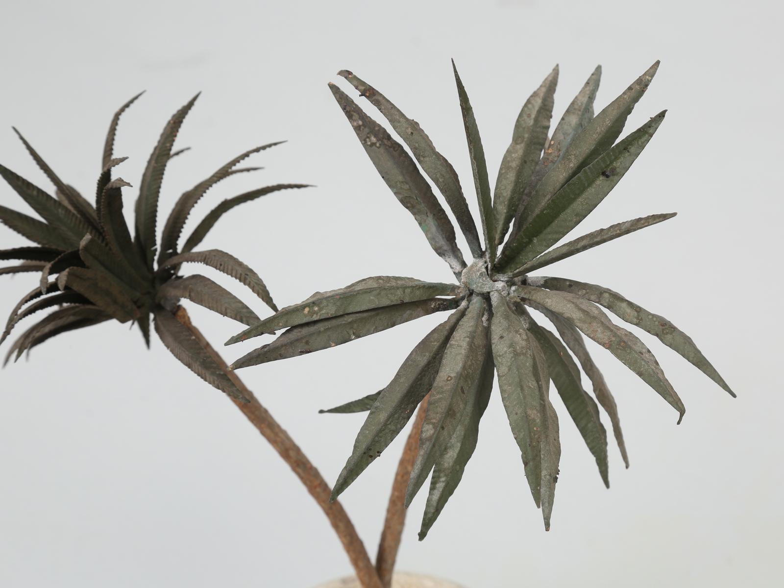 french palm trees