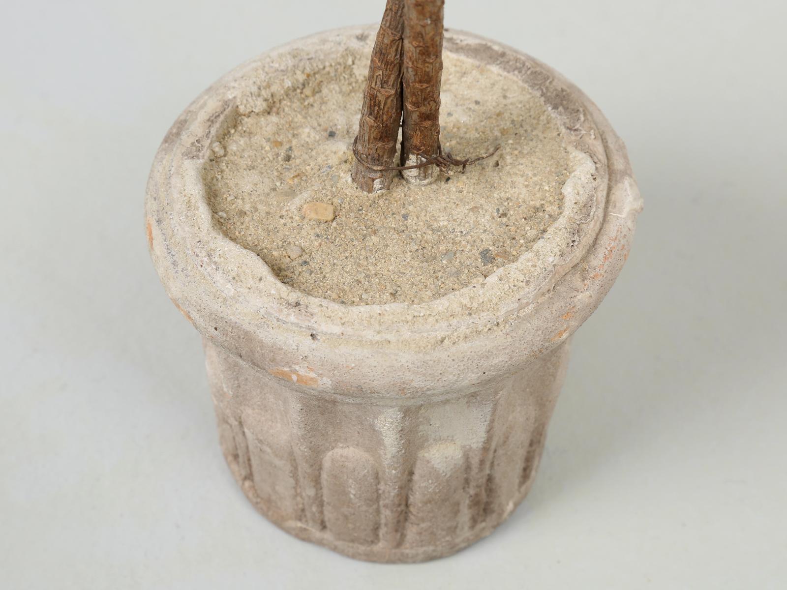 French Metal Palm Trees in Clay Pots 3