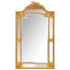French Mid 19th Century Louis XVI St. Giltwood Double Framed Mirror