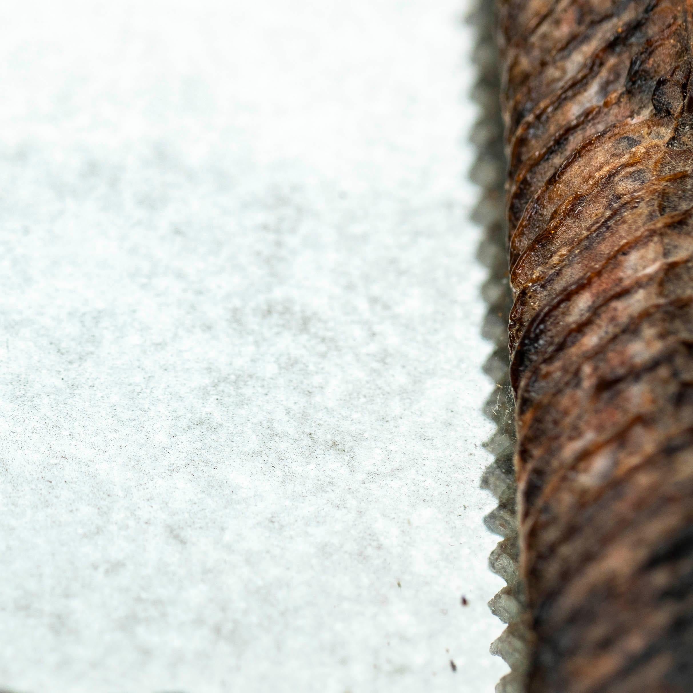 Résine Miroir en résine et verre mosaïque dans le style de Line Vautrin années 1960 en vente