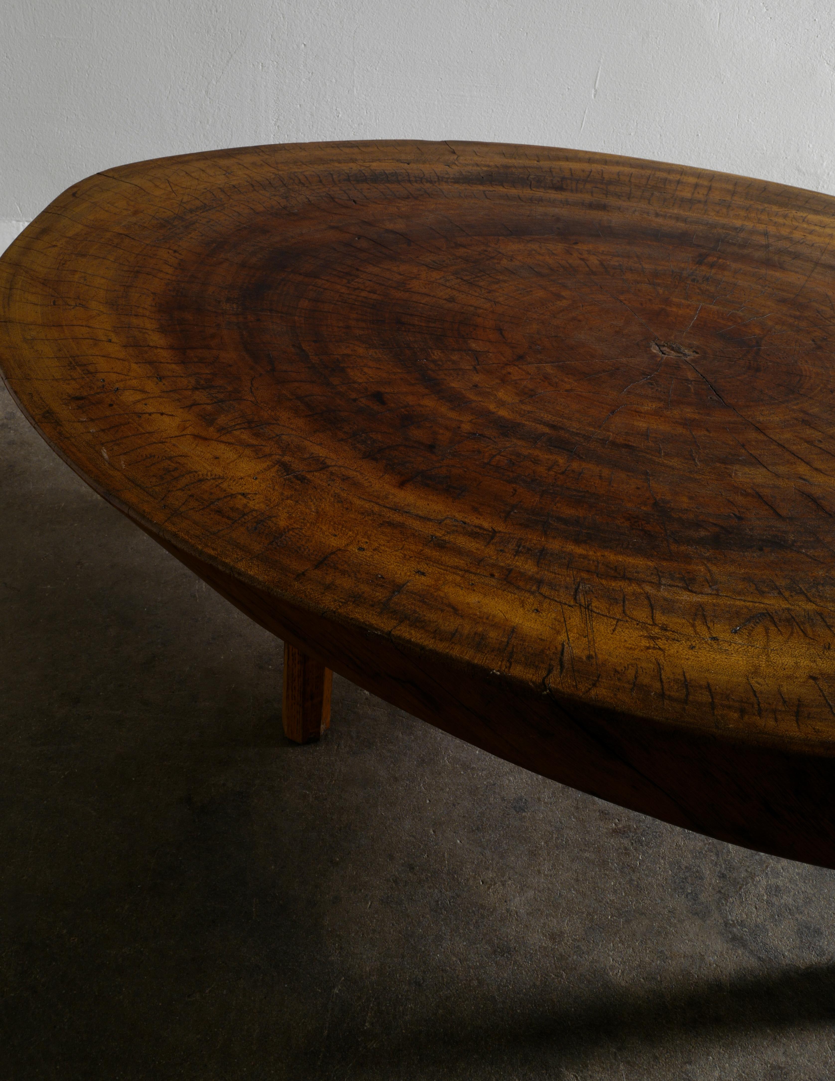 Mid-20th Century French Mid-Century Brutalist Coffee Table in Elm Produced in France, 1950s 