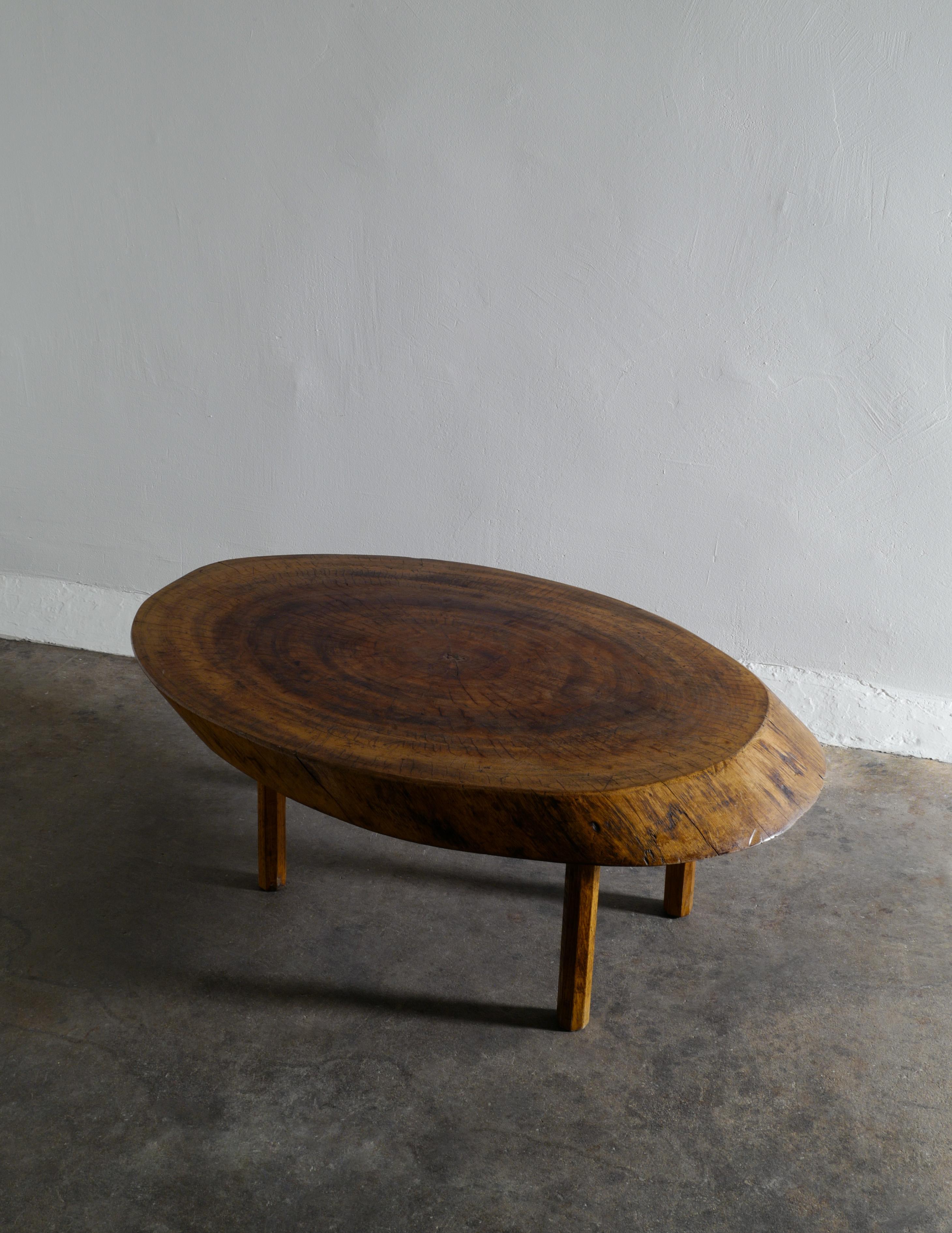 French Mid-Century Brutalist Coffee Table in Elm Produced in France, 1950s  1