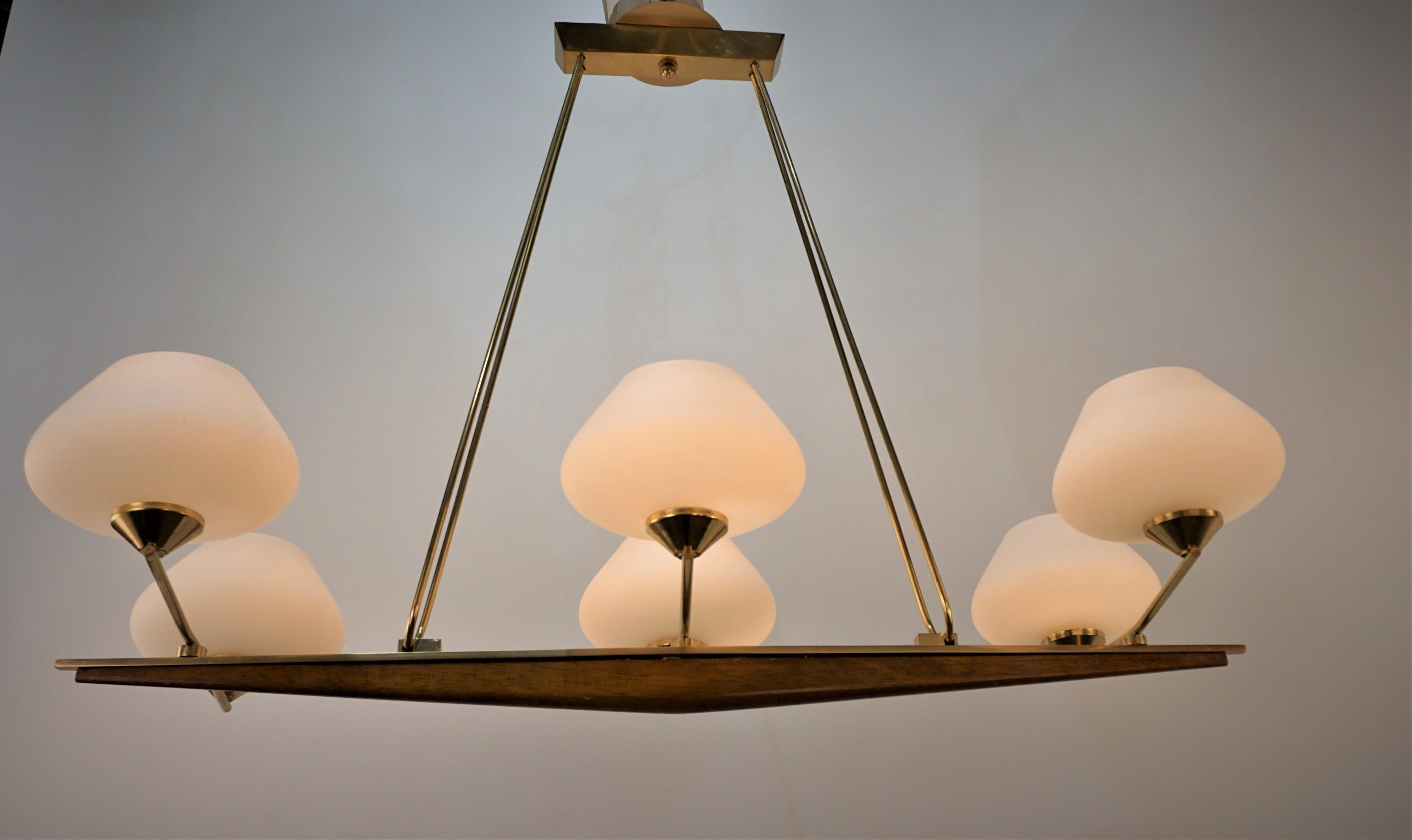 Mid-Century Modern French Mid Century Chandelier For Sale
